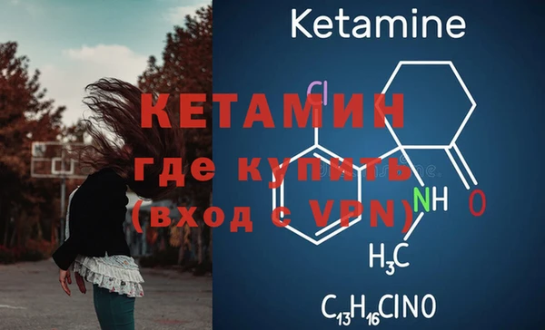прущие грибы Верхний Тагил