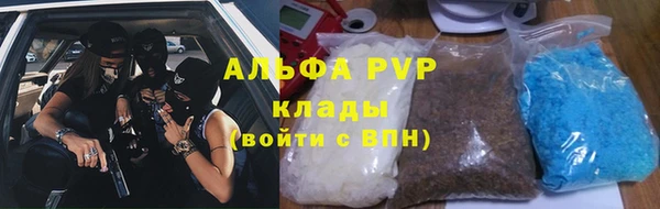 прущие грибы Верхний Тагил