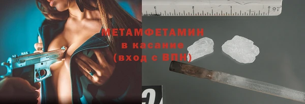 прущие грибы Верхний Тагил