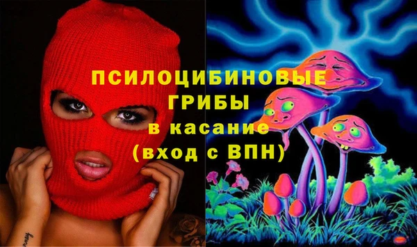 соль курить ск Богородск
