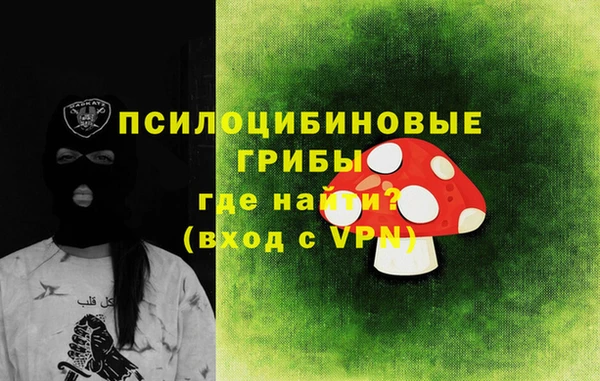 MDMA Богородицк