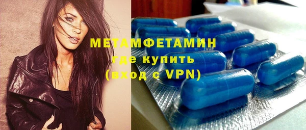 прущие грибы Верхний Тагил