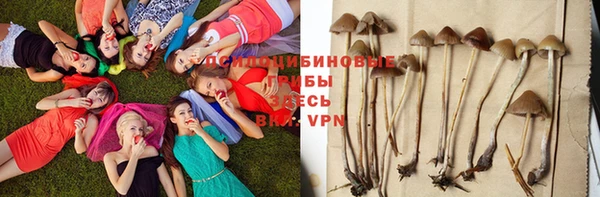ECSTASY Богданович