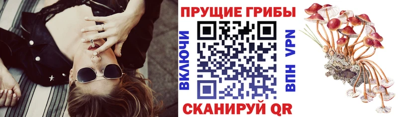 Галлюциногенные грибы ЛСД  Катайск 